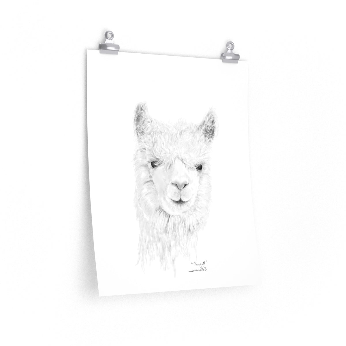 PRESCOTT Llama- Art Paper Print