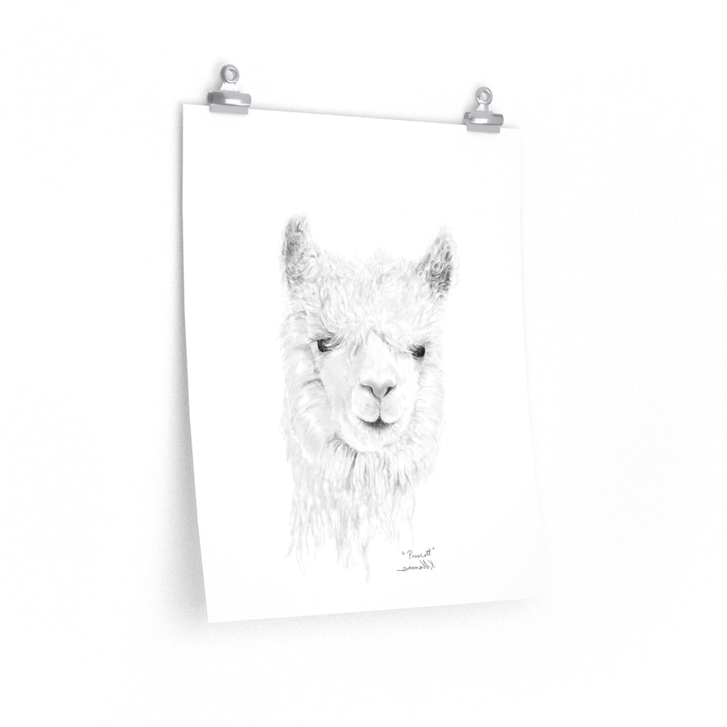 PRESCOTT Llama- Art Paper Print