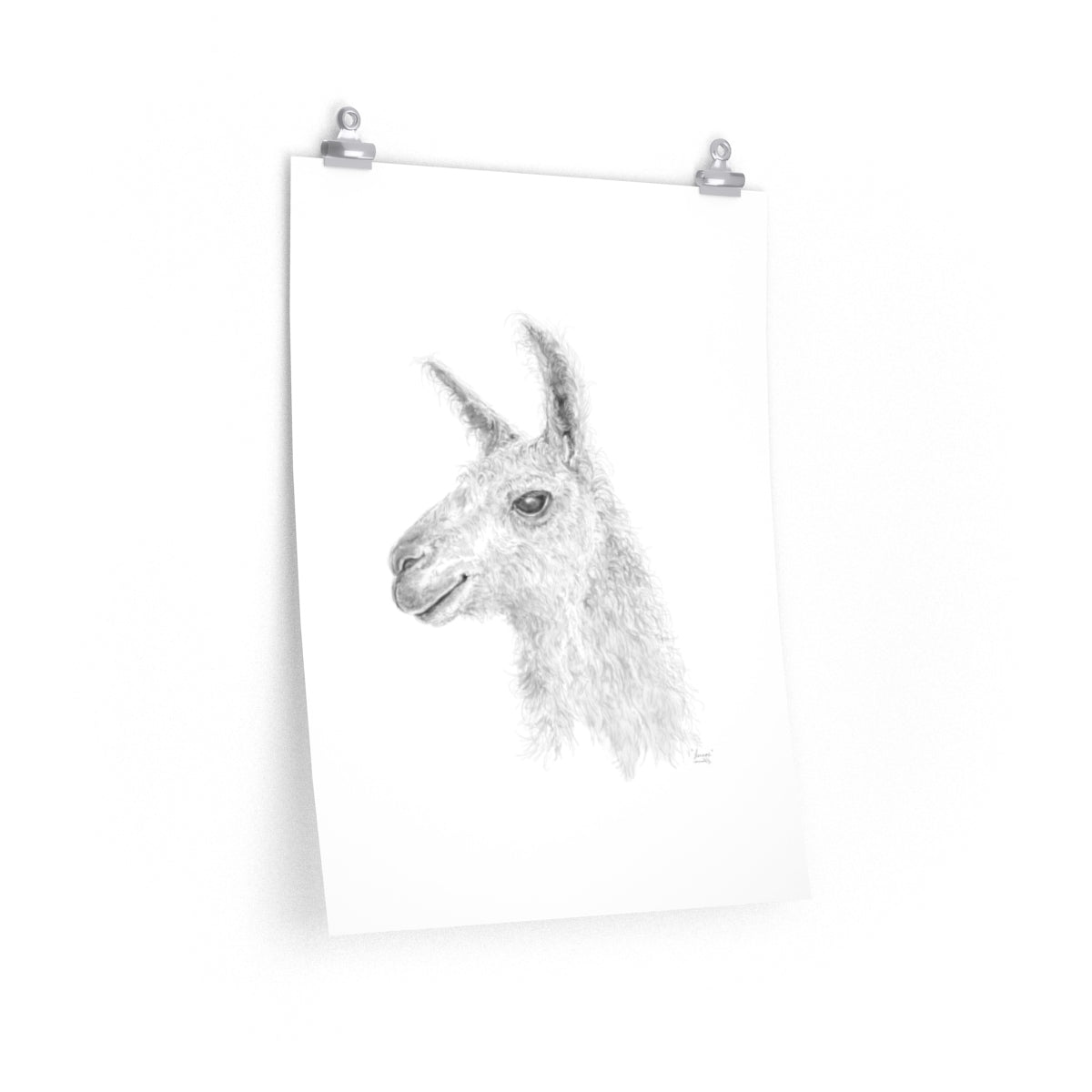LENNOX Llama- Art Paper Print