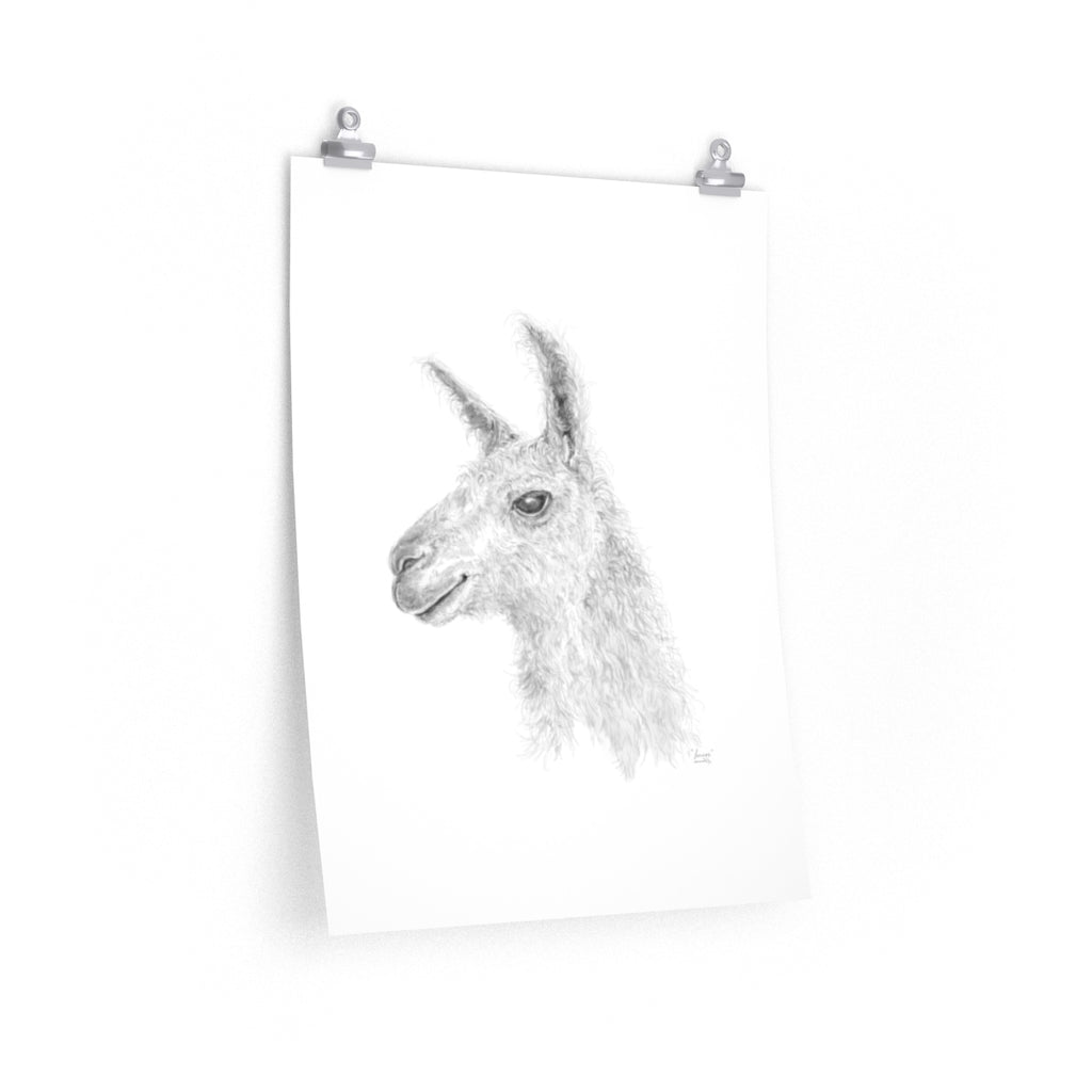 LENNOX Llama- Art Paper Print