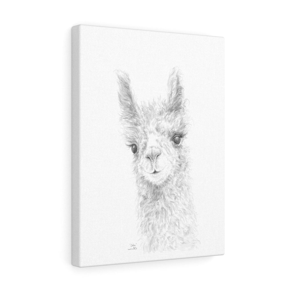 CHLOE Llama - Art Canvas