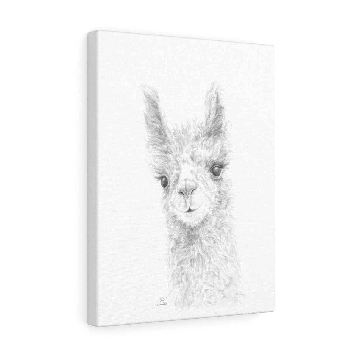 CHLOE Llama - Art Canvas