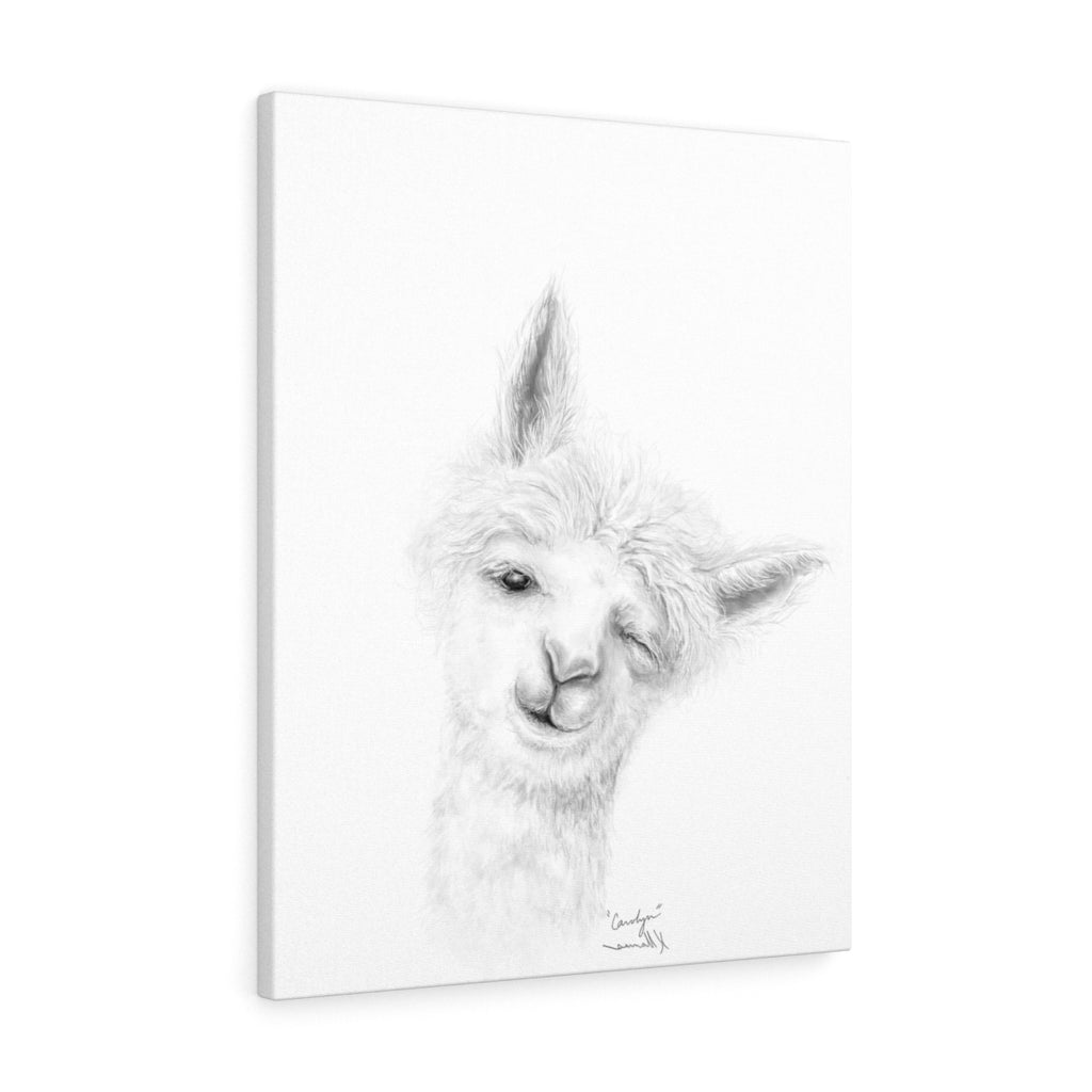 CAROLYN Llama - Art Canvas