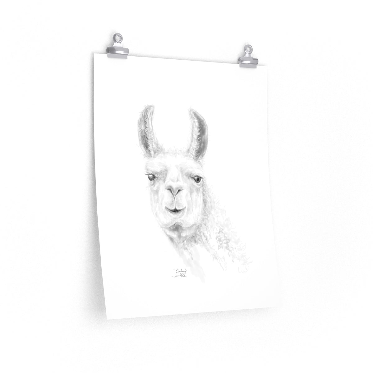LINDSEY Llama- Art Paper Print