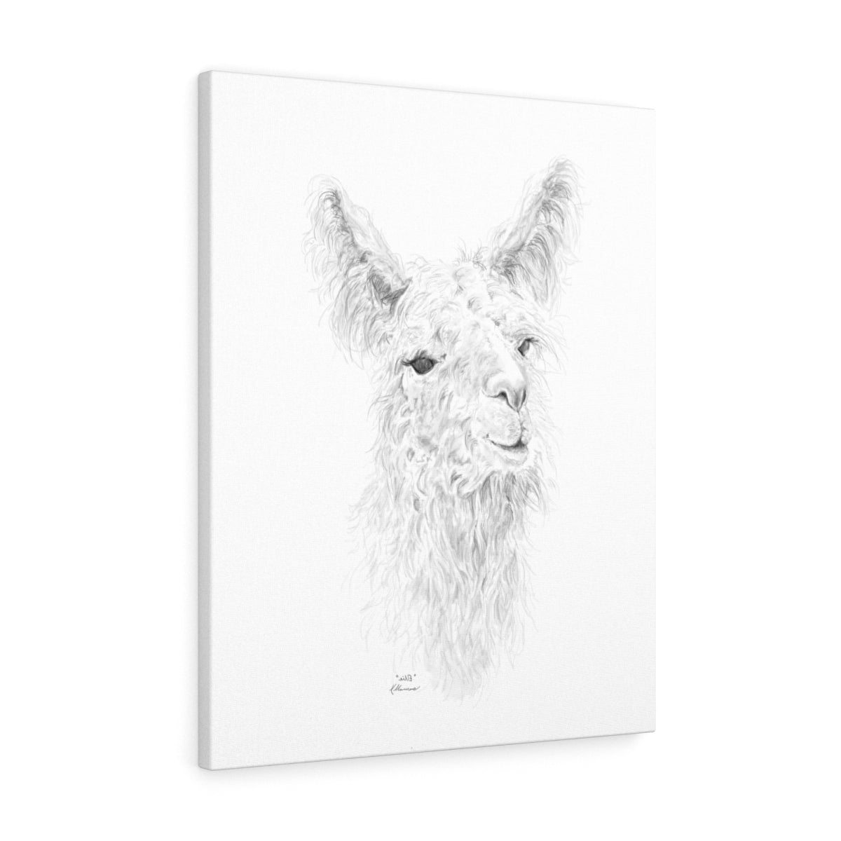 ELLIE Llama - Art Canvas