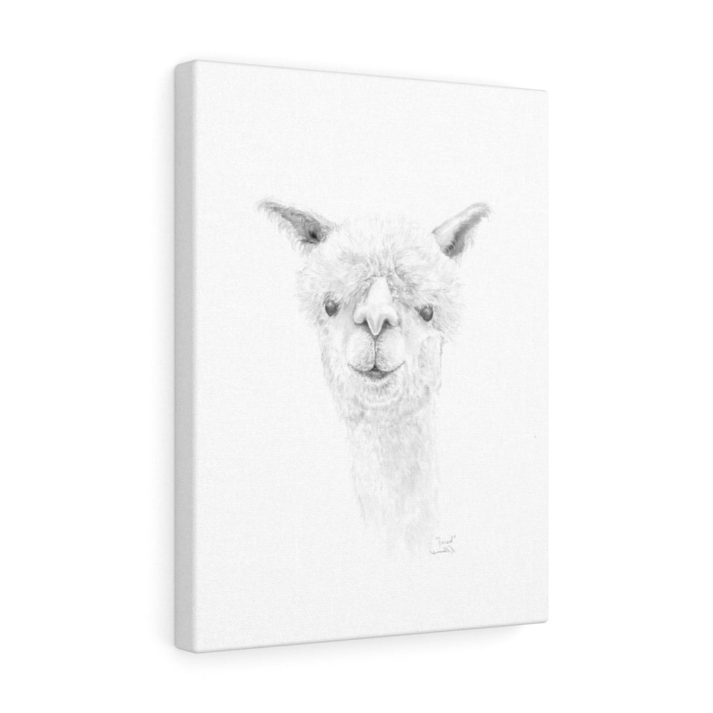 JARED Llama - Art Canvas