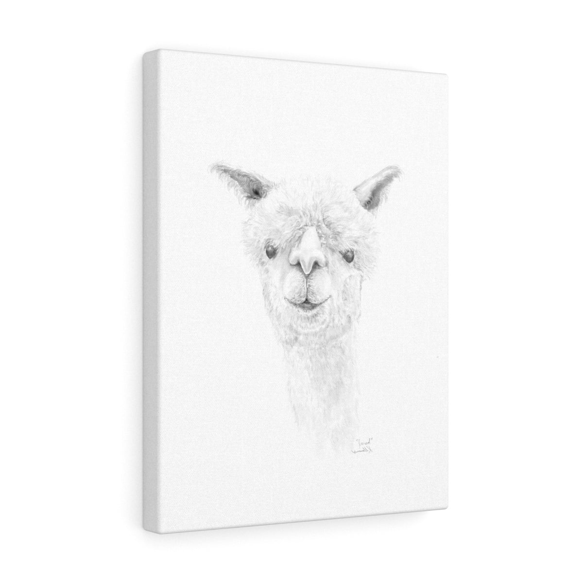 JARED Llama - Art Canvas