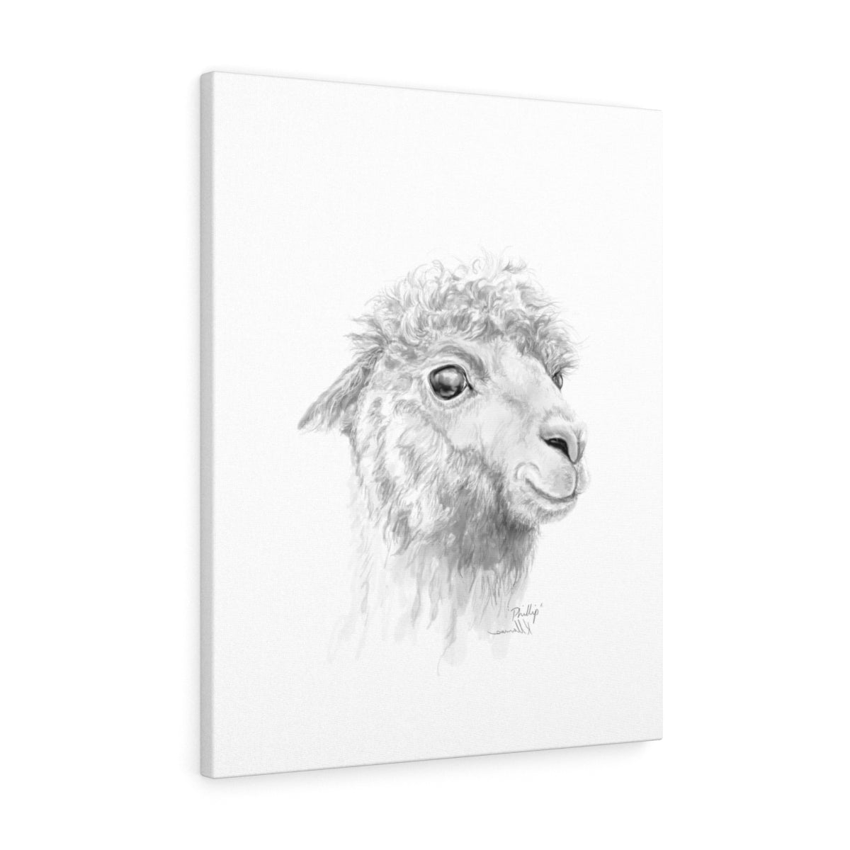 PHILLIP Llama - Art Canvas