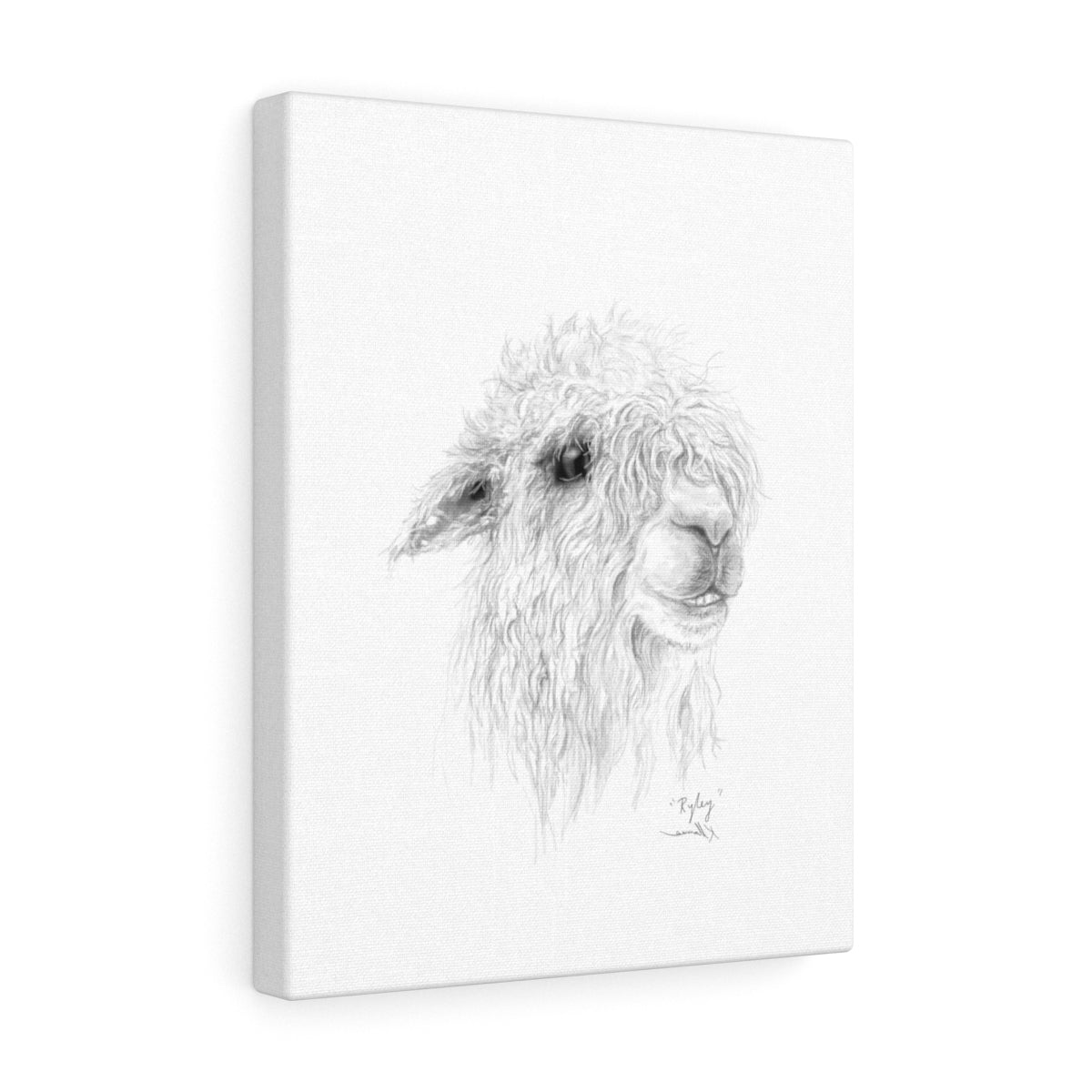RYLEY Llama - Art Canvas