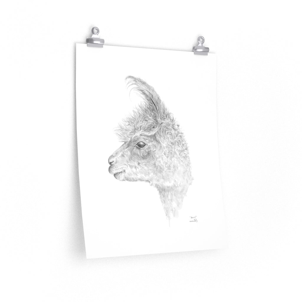 AARON Llama- Art Paper Print