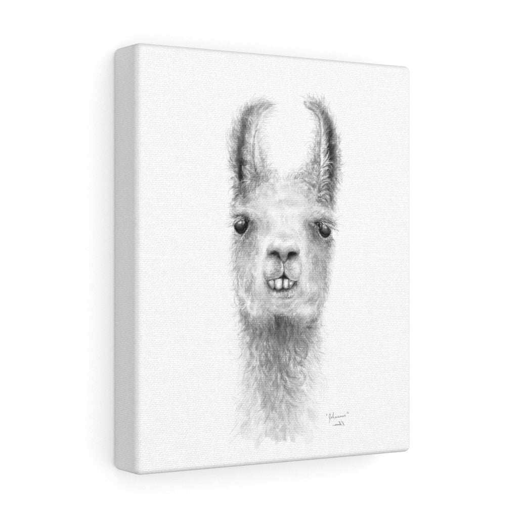 JOHANNES Llama - Art Canvas