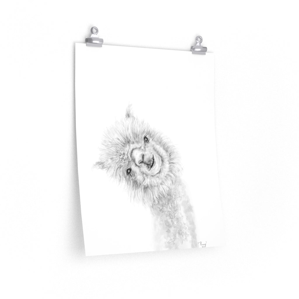 PENNY Llama- Art Paper Print