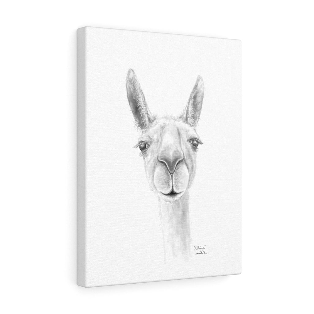 ADDISON Llama- Art Canvas