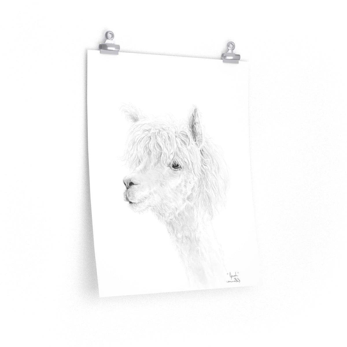 JONAH Llama- Art Paper Print