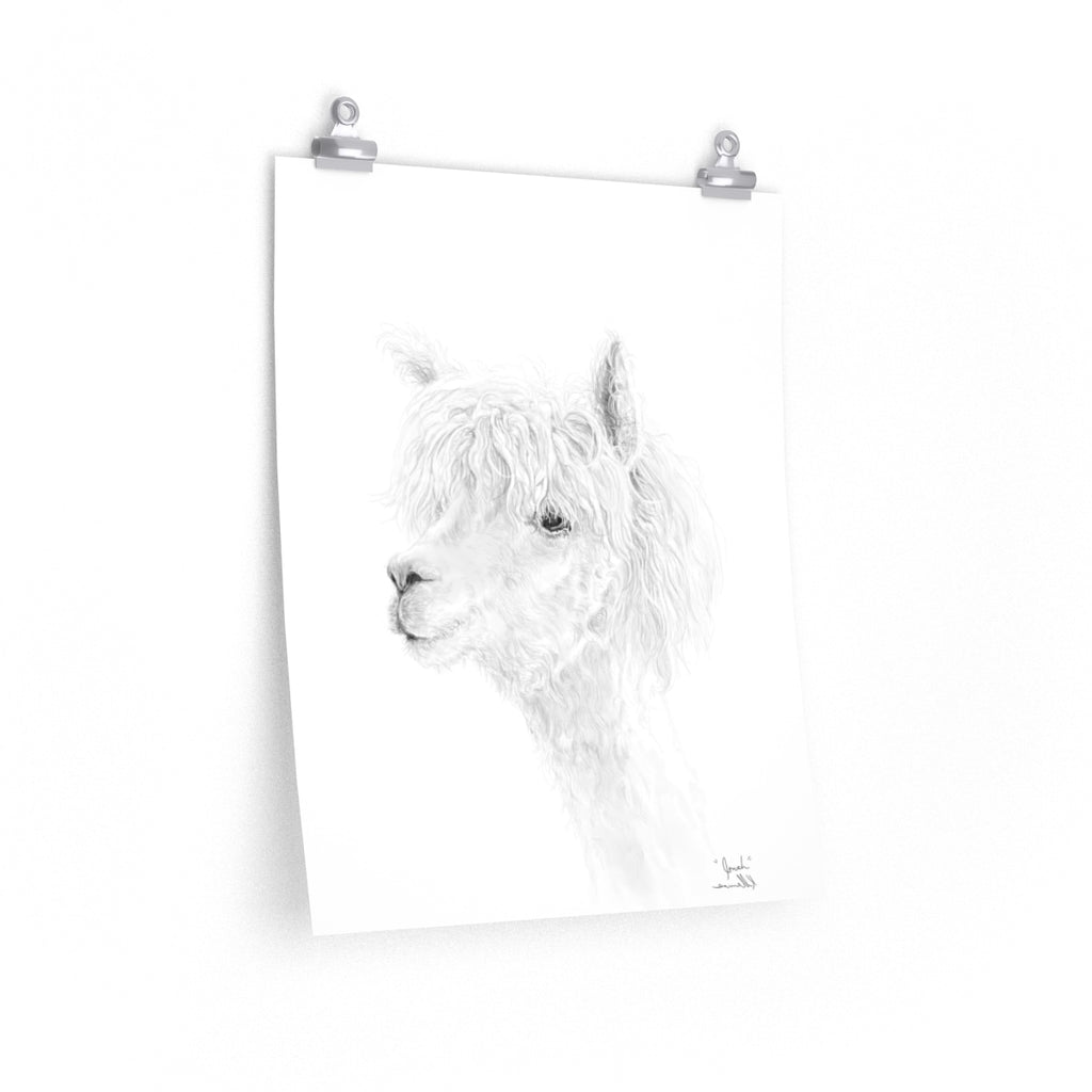 JONAH Llama- Art Paper Print