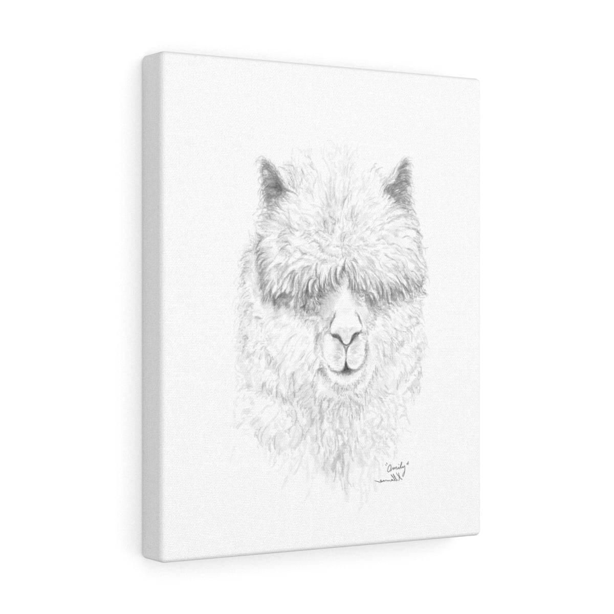 OMILY Llama - Art Canvas