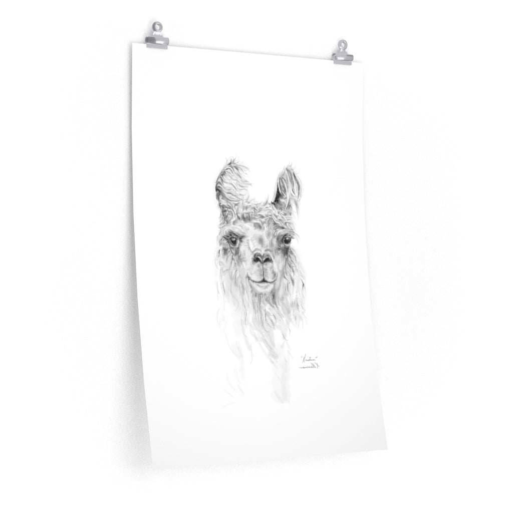 KRISTEN Llama- Art Paper Print