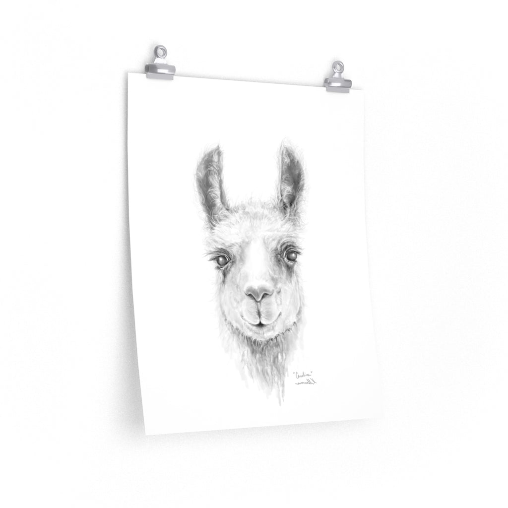 CAROLINE Llama- Art Paper Print