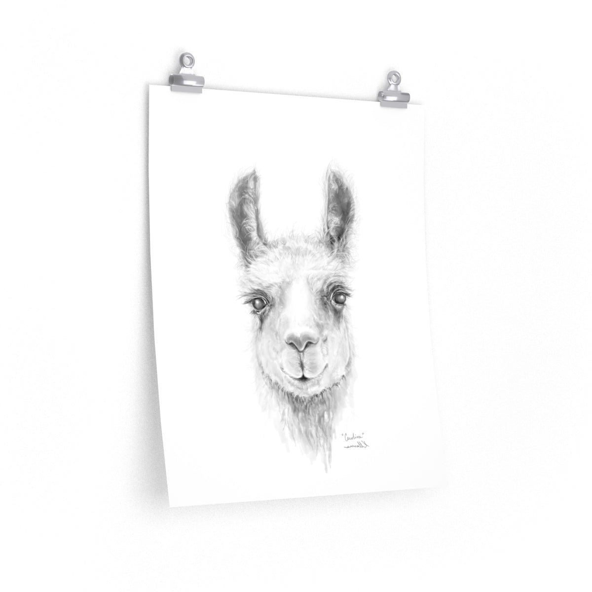 CAROLINE Llama- Art Paper Print