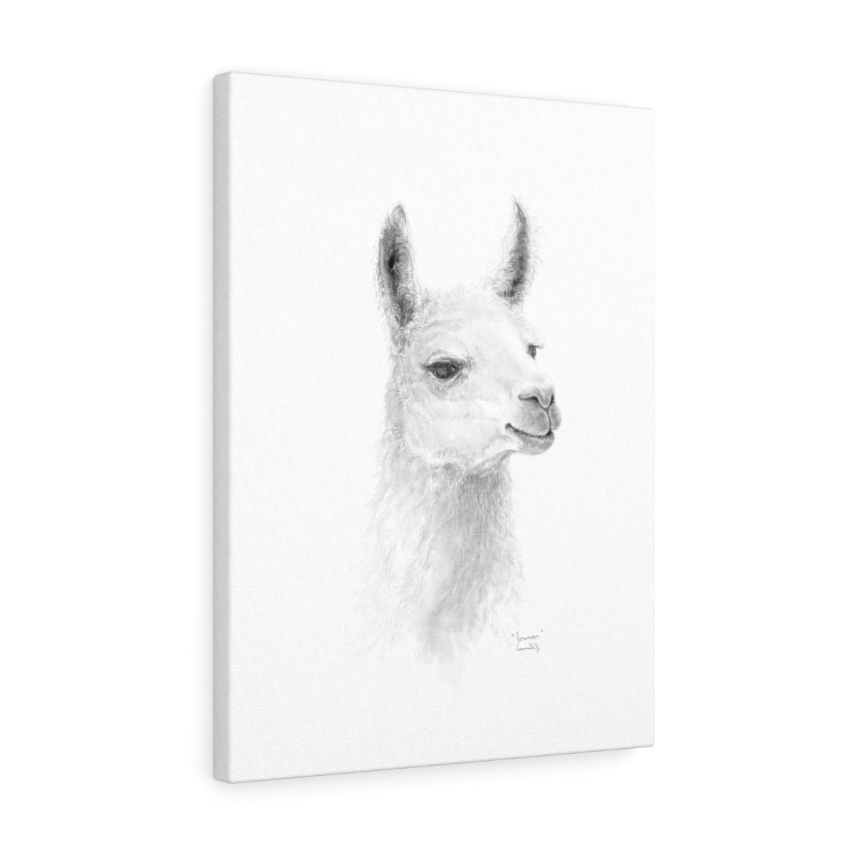 JOUNEER Llama - Art Canvas
