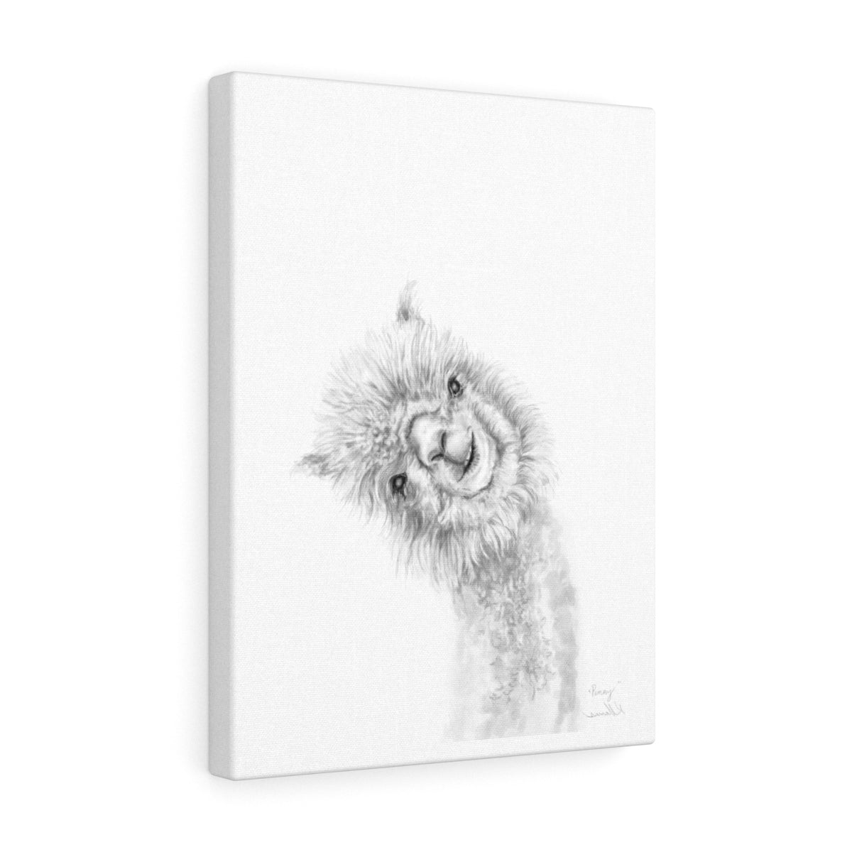 PENNY Llama - Art Canvas