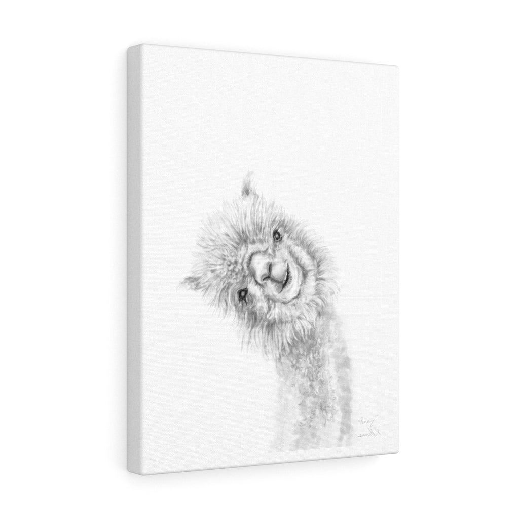 PENNY Llama - Art Canvas