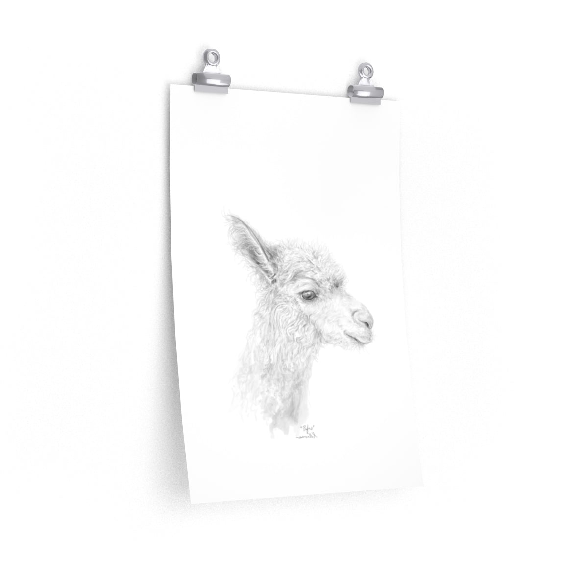 RUFUS Llama- Art Paper Print