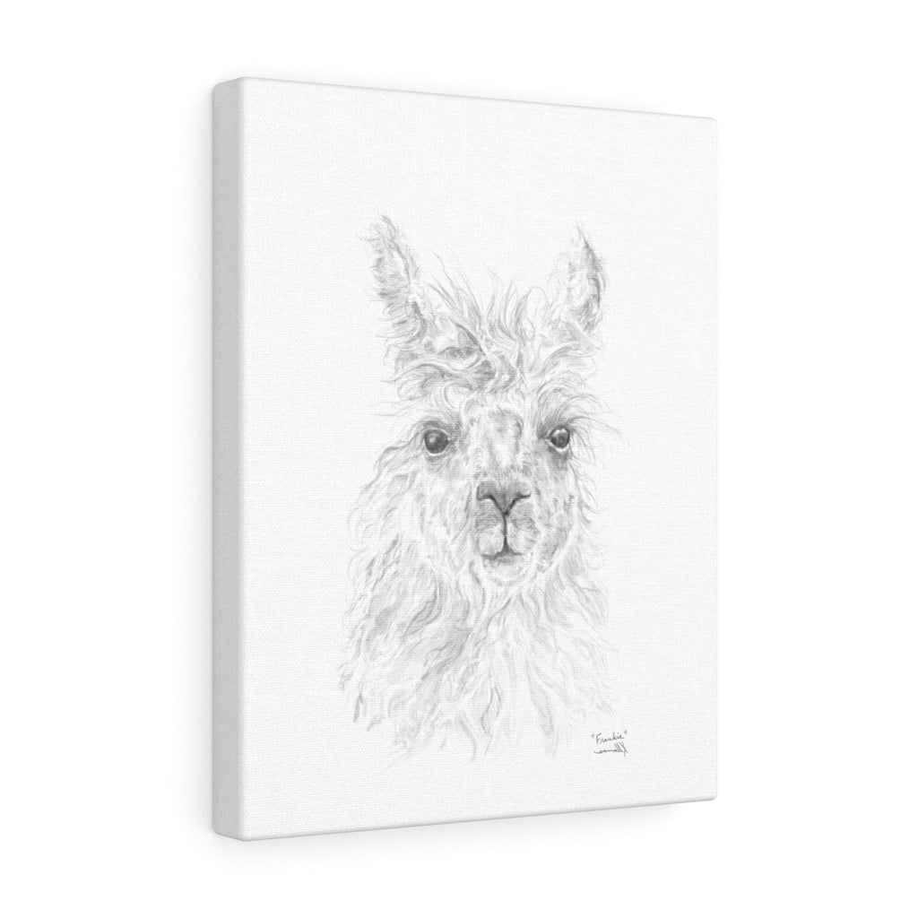 FRANKIE Llama - Art Canvas