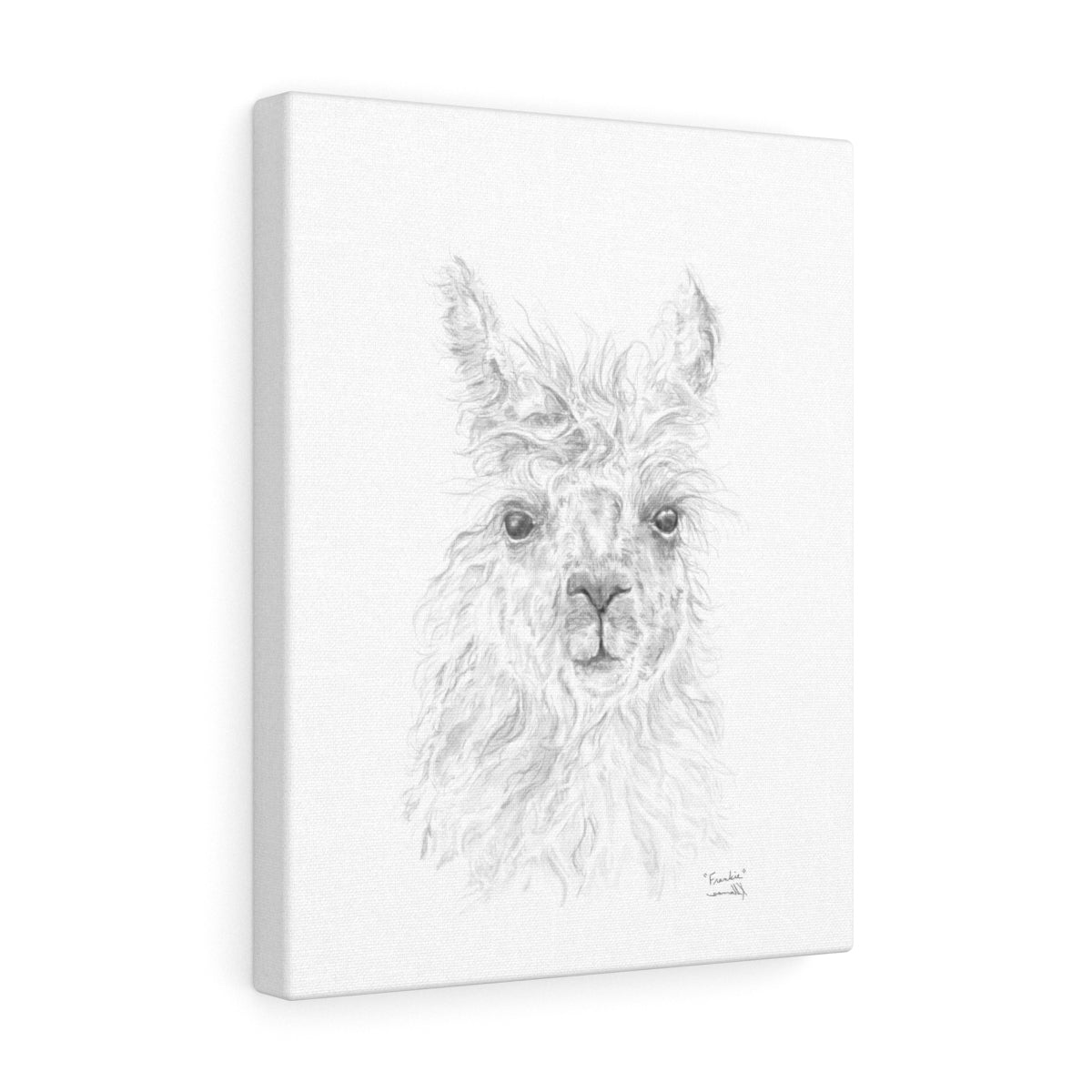 FRANKIE Llama - Art Canvas