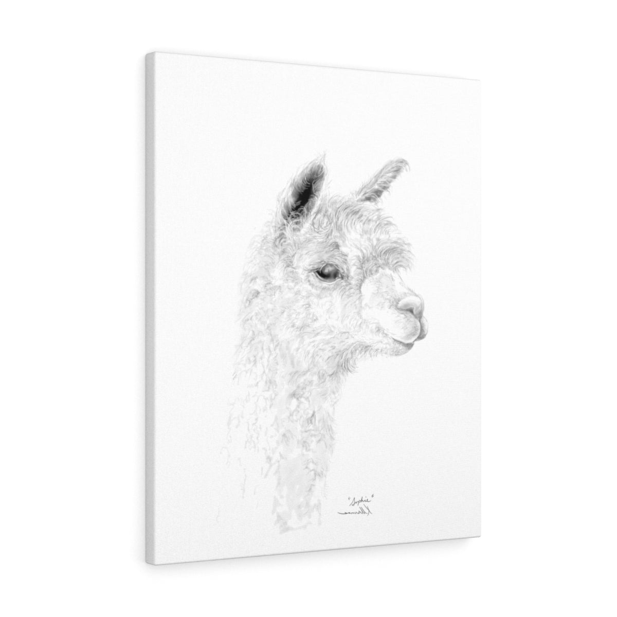 SOPHIE llama- Art Canvas