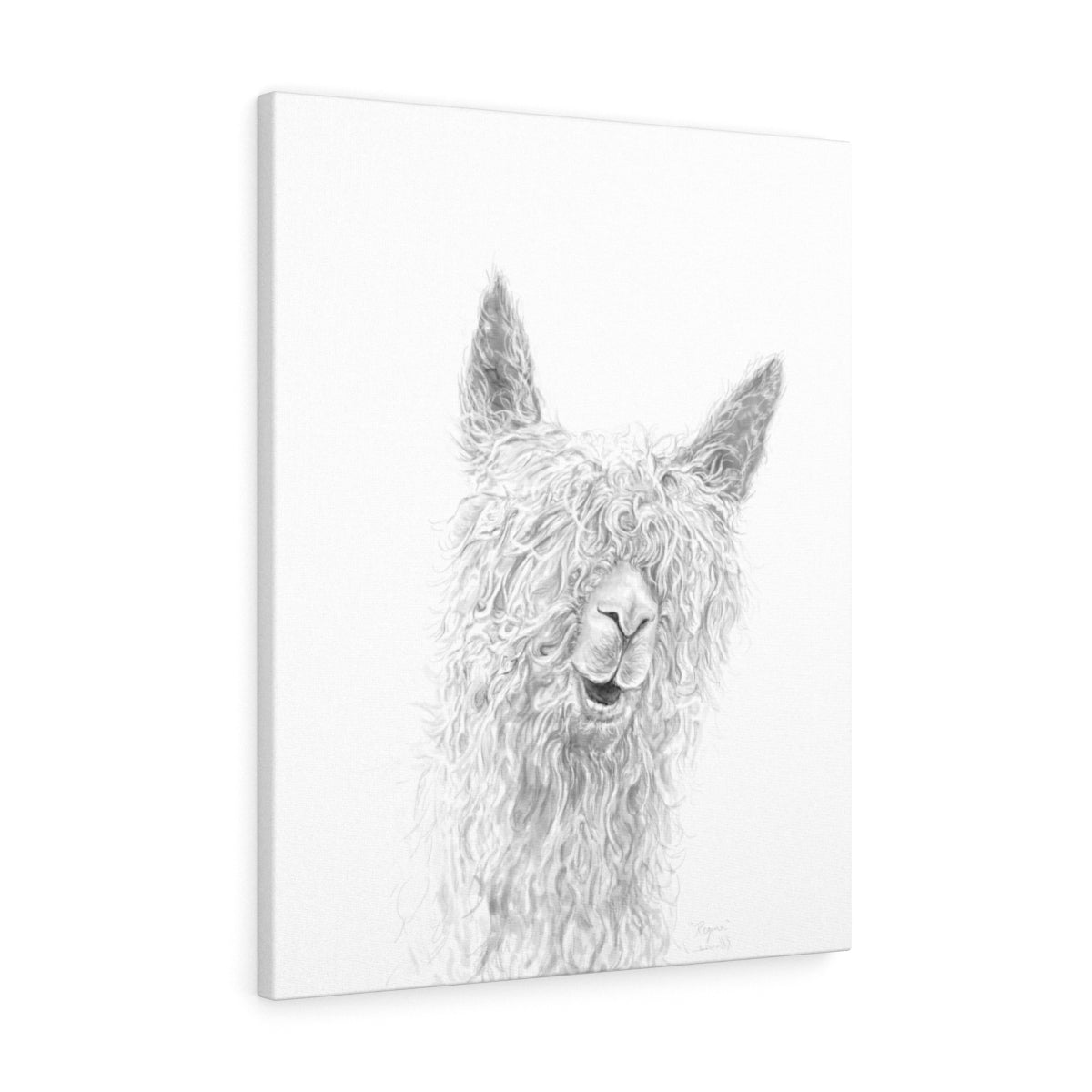REGINA Llama - Art Canvas
