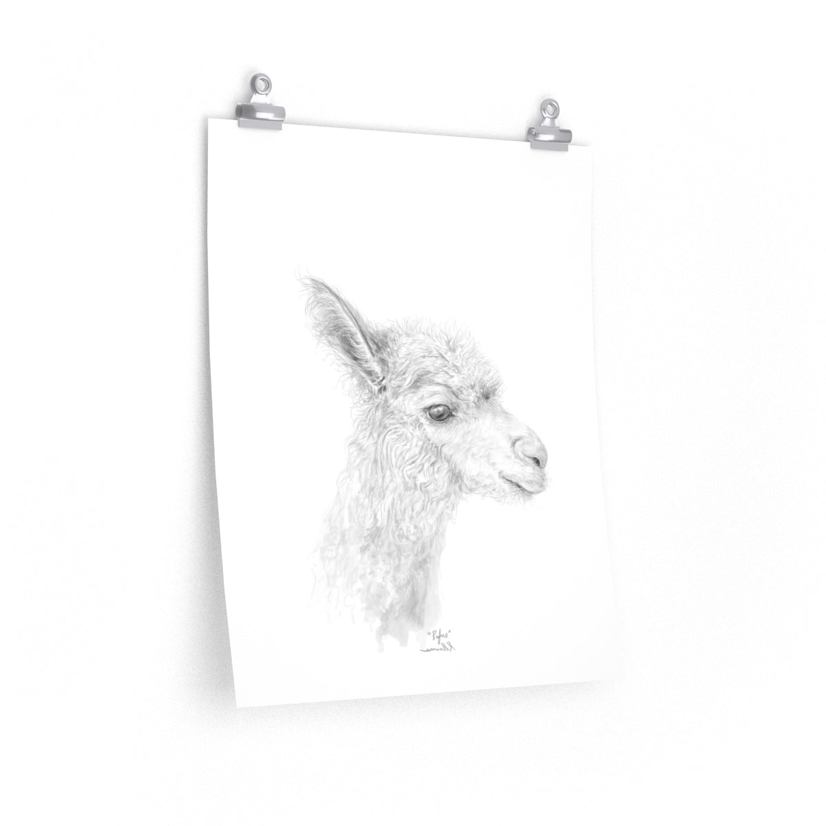 RUFUS Llama- Art Paper Print