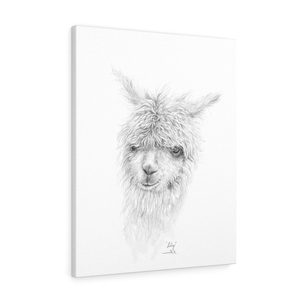 LILY Llama - Art Canvas