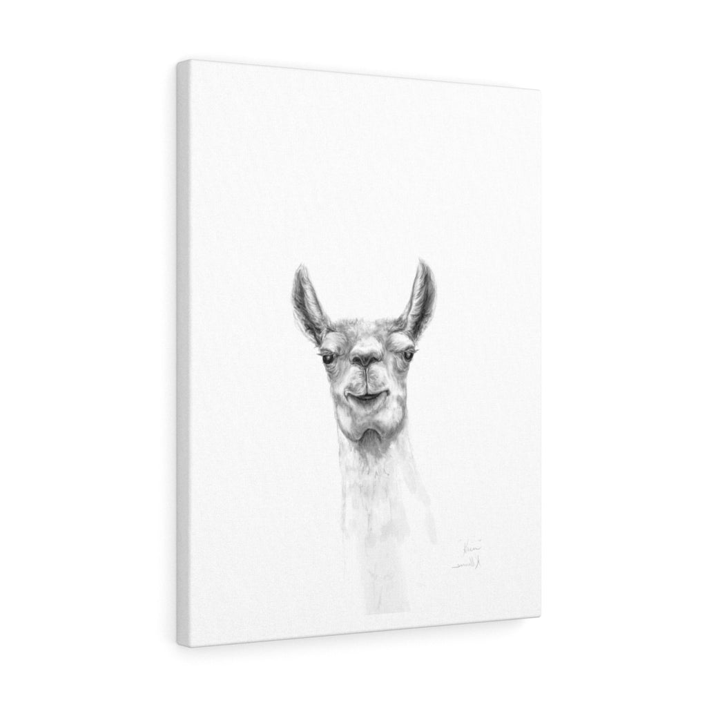 KAIN Llama - Art Canvas
