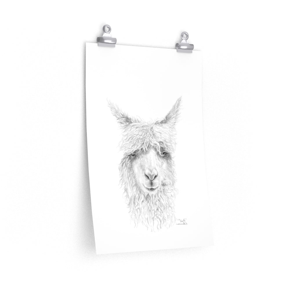 GAELLE Llama- Art Paper Print