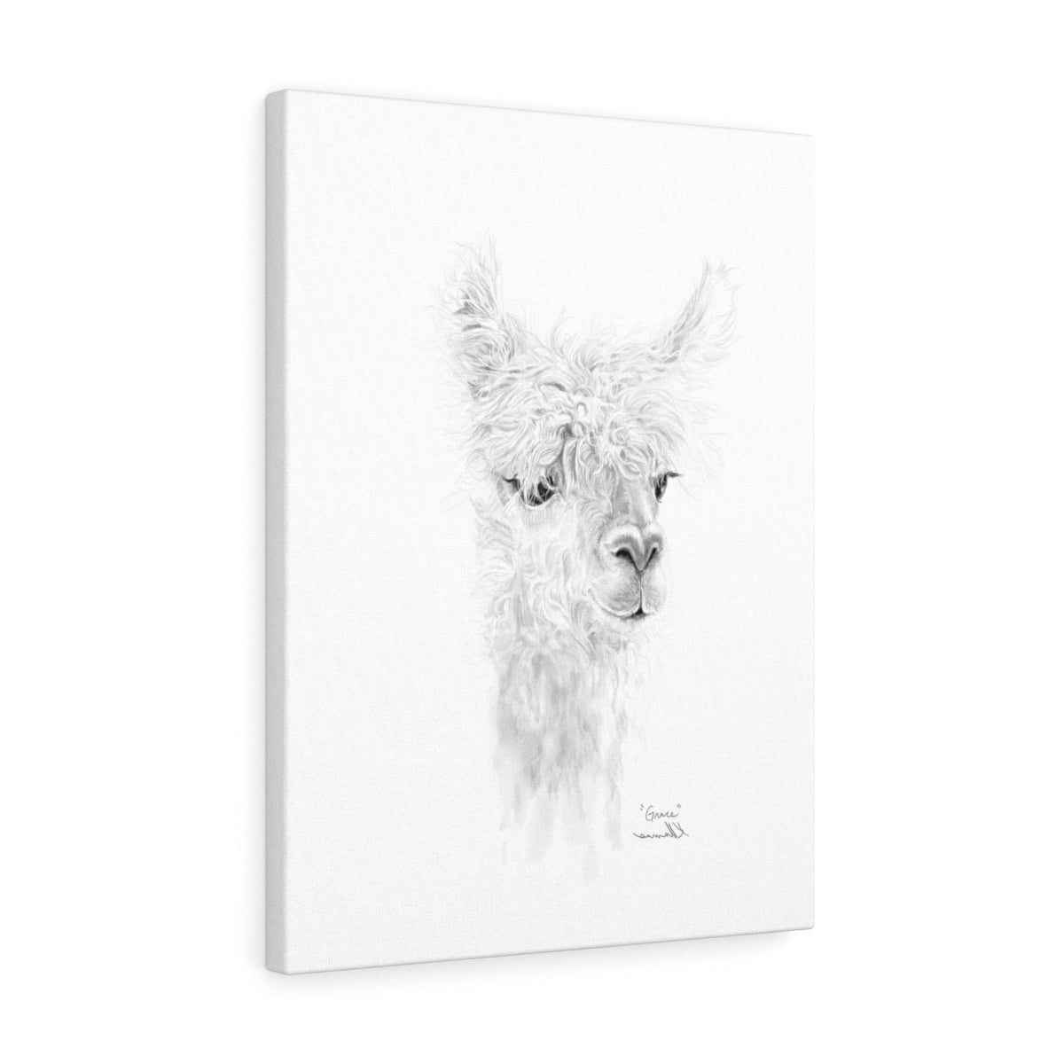 GRACE Llama - Art Canvas
