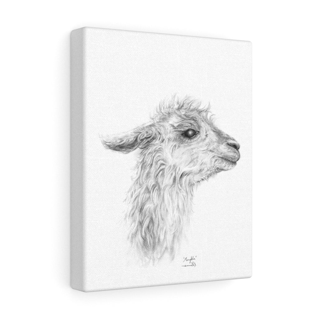 MENGKHA Llama - Art Canvas