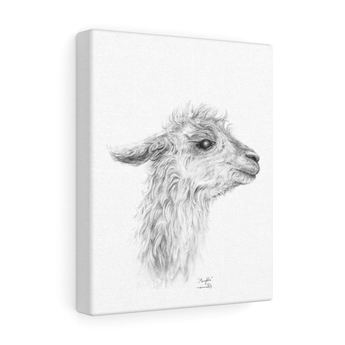 MENGKHA Llama - Art Canvas