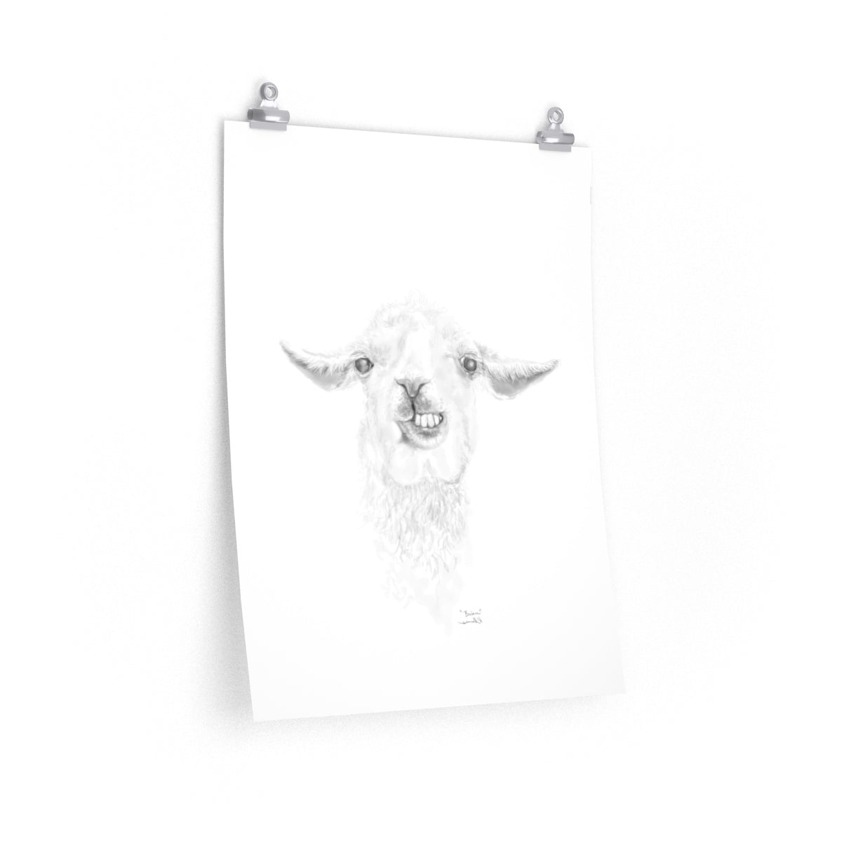 BRIAN Llama- Art Paper Print