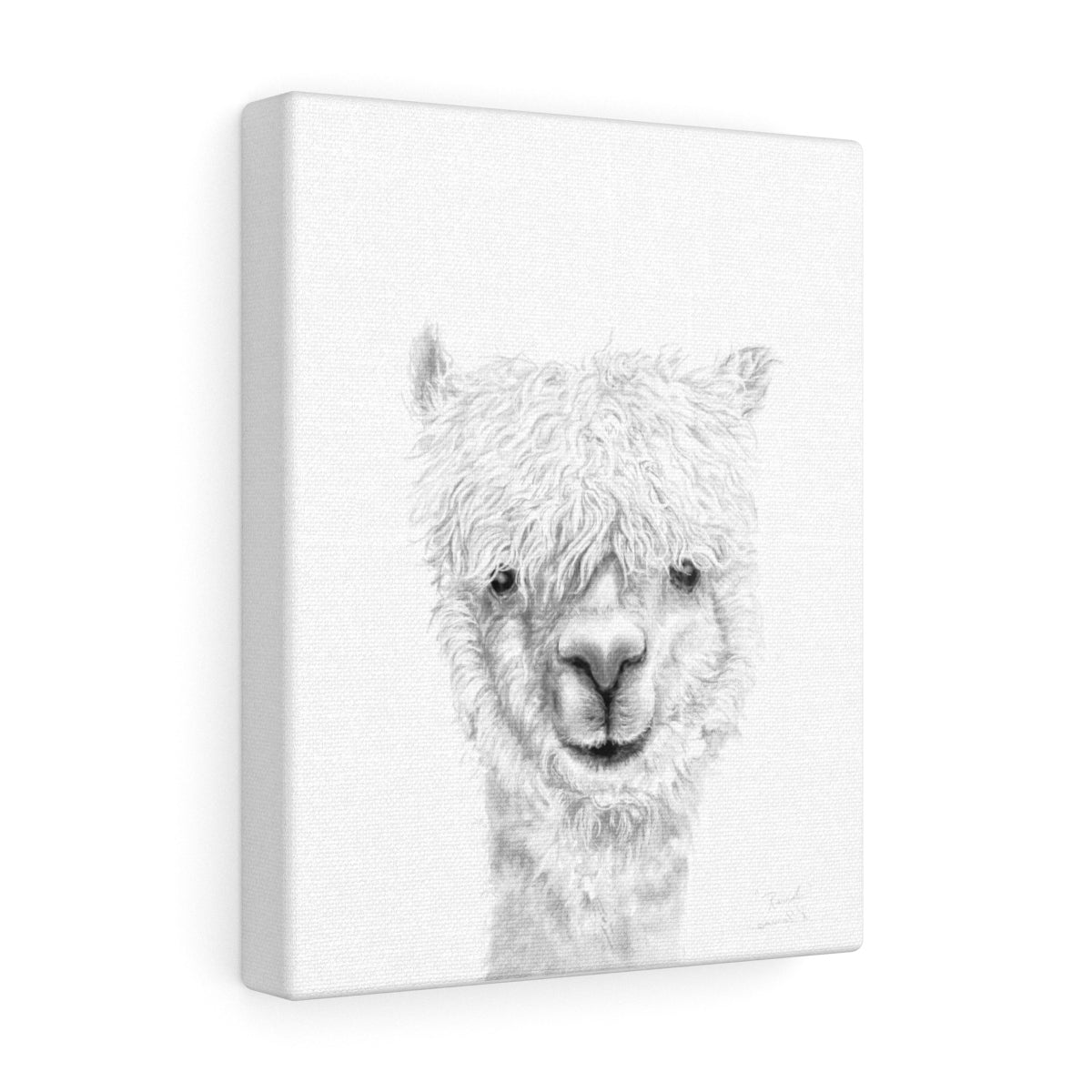 RANDI Llama - Art Canvas