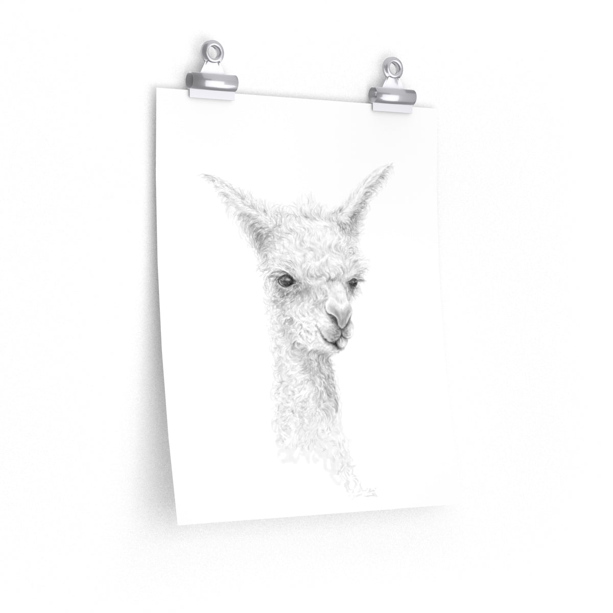 ALICE Llama- Art Paper Print