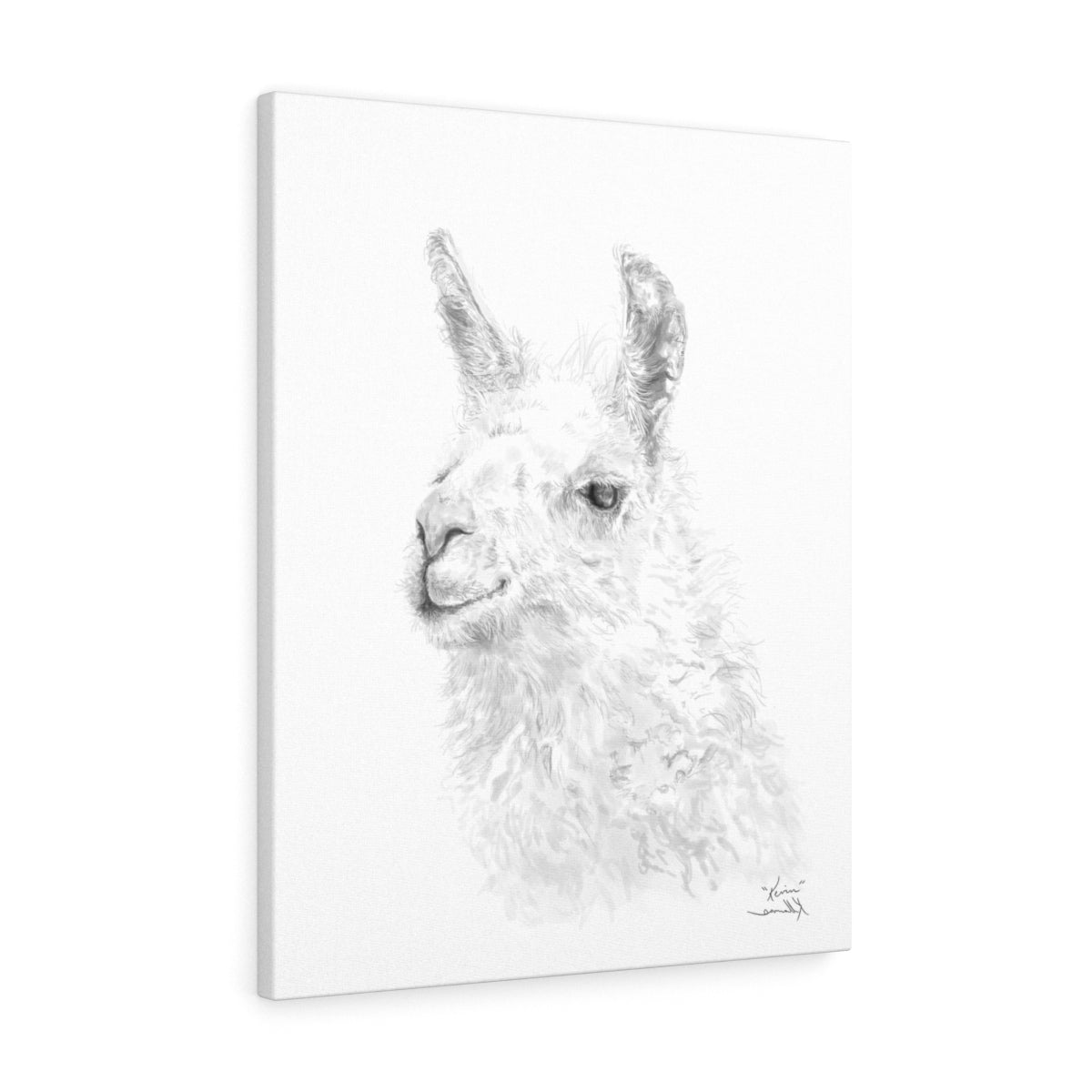 KEVIN Llama - Art Canvas
