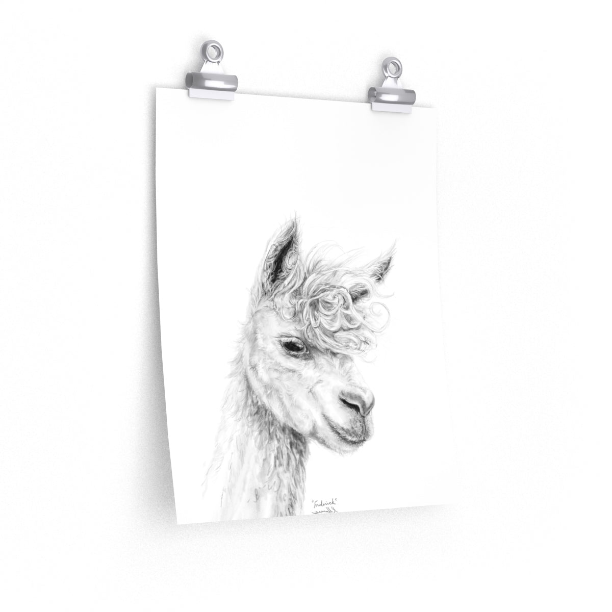 FREDERICK Llama- Art Paper Print