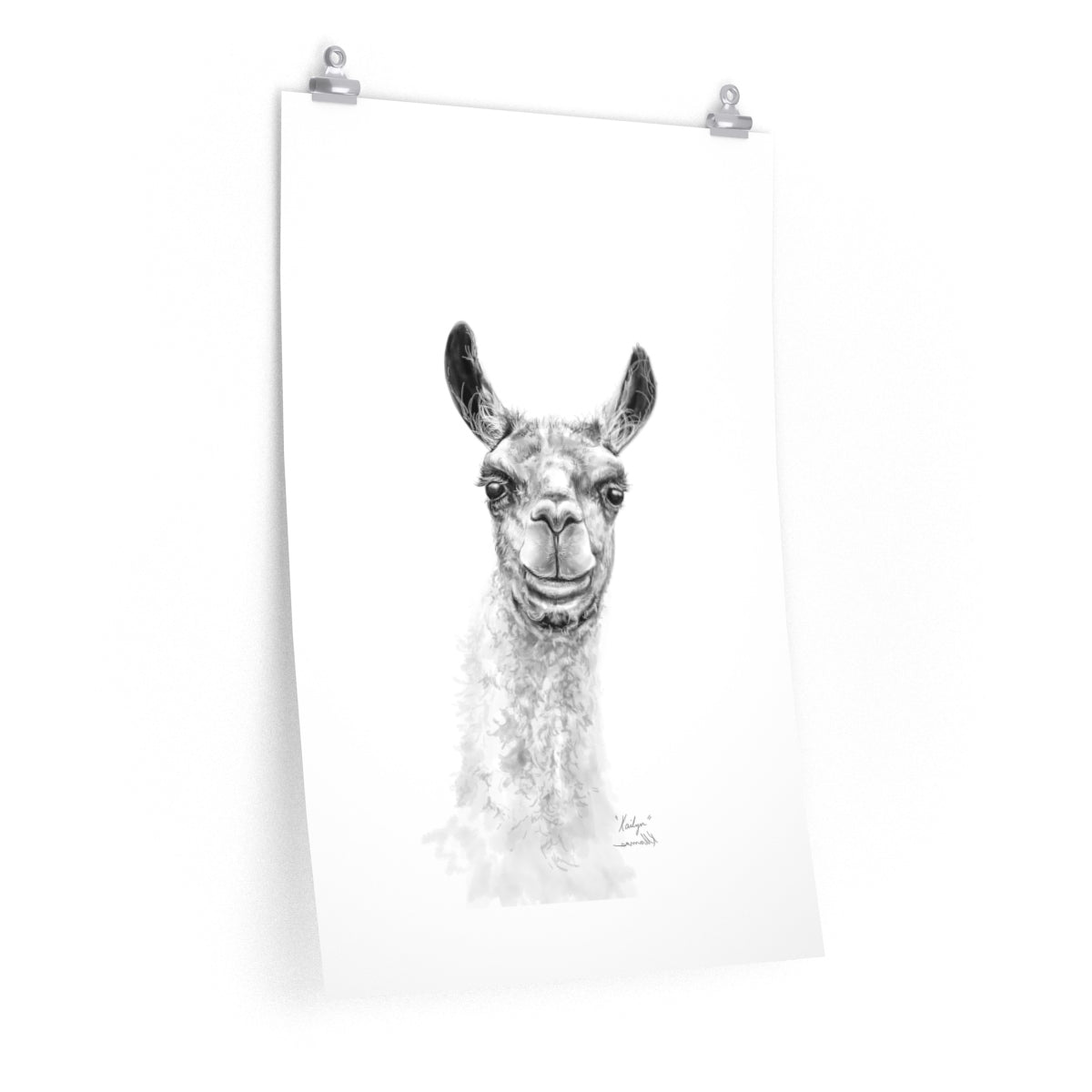 KAILYN Llama- Art Paper Print