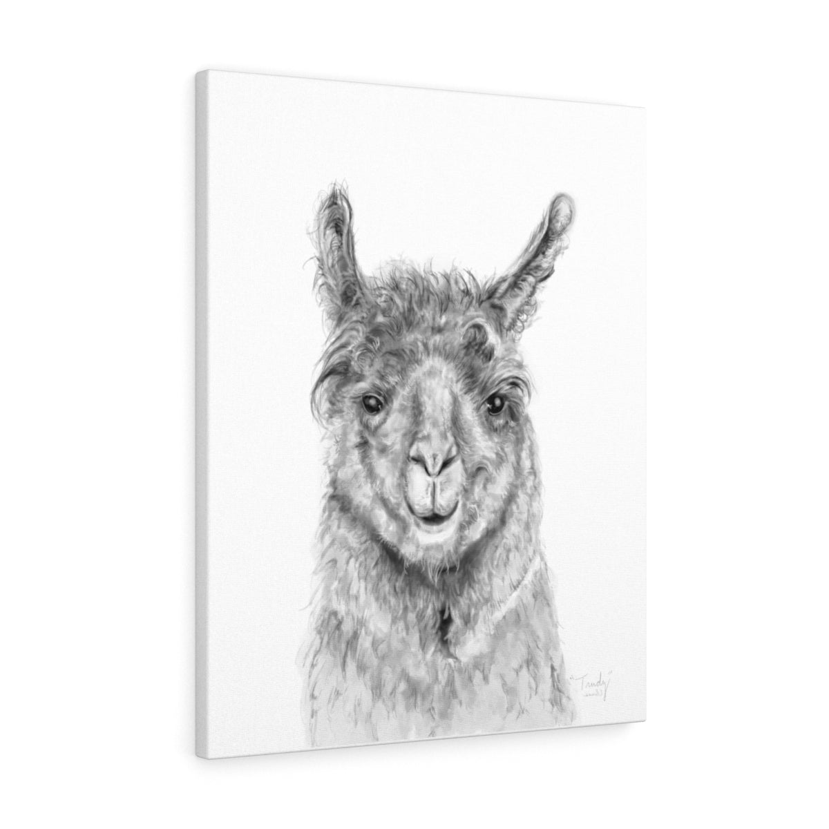 TRUDY Llama - Art Canvas