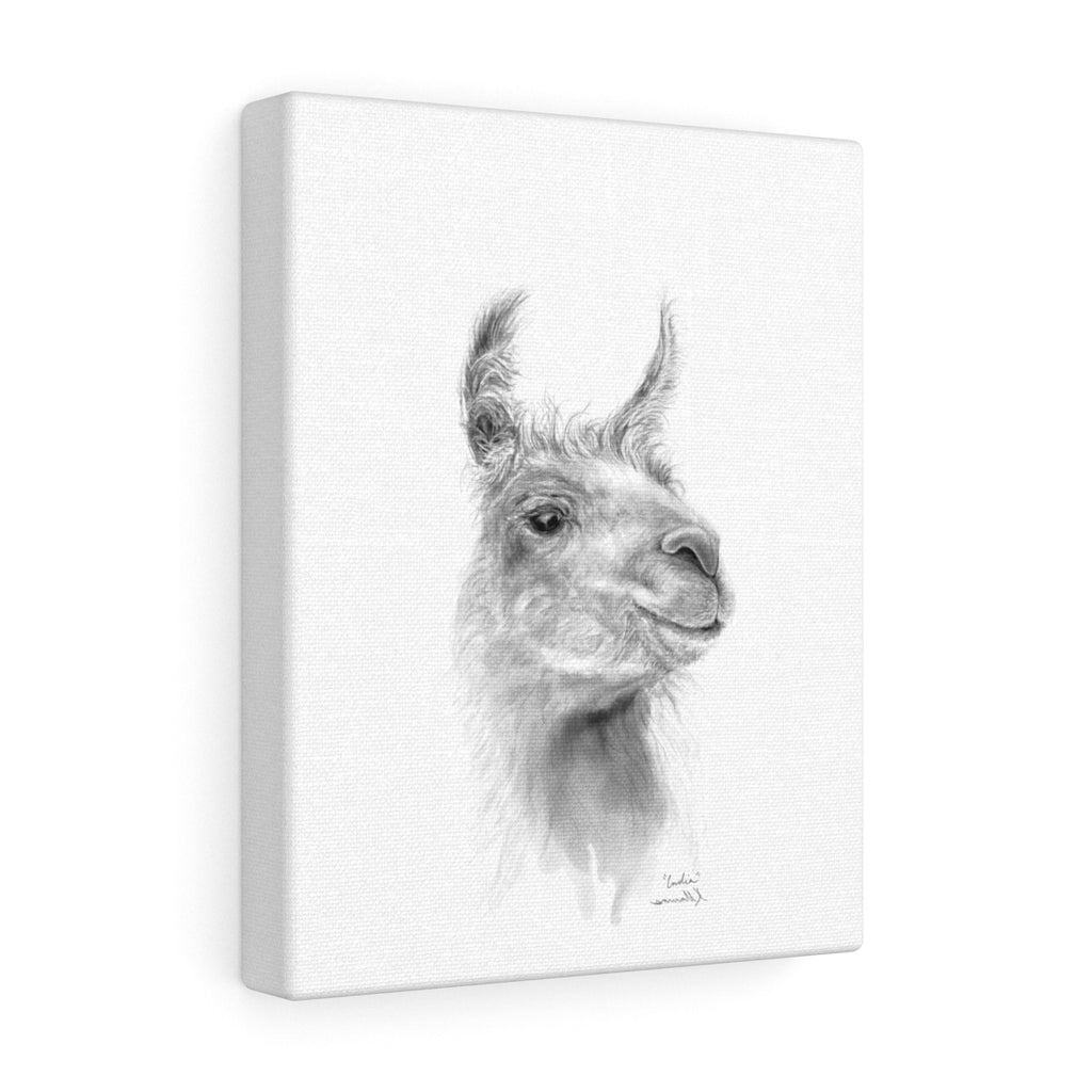 INDIA Llama - Art Canvas