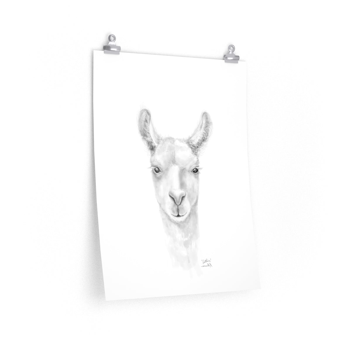CAITLIN Llama- Art Paper Print