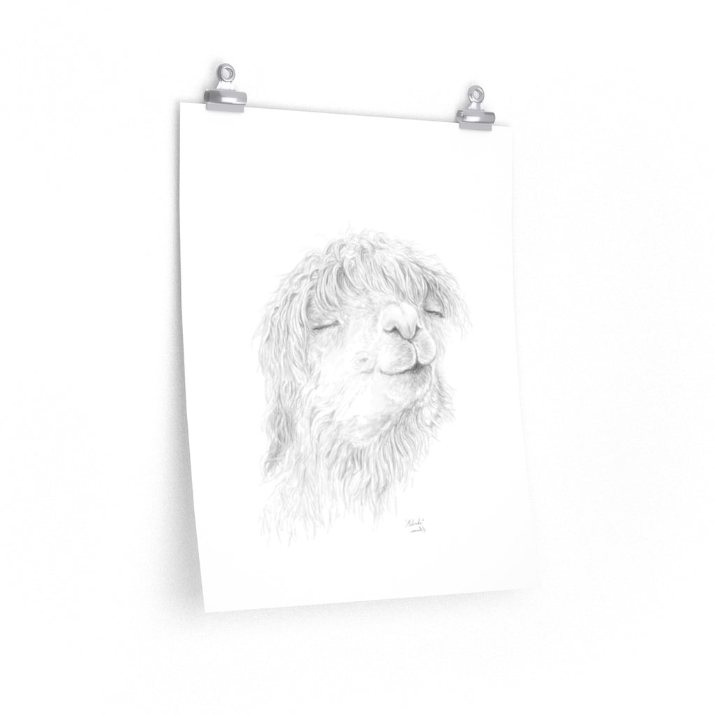 MELINDA Llama- Art Paper Print