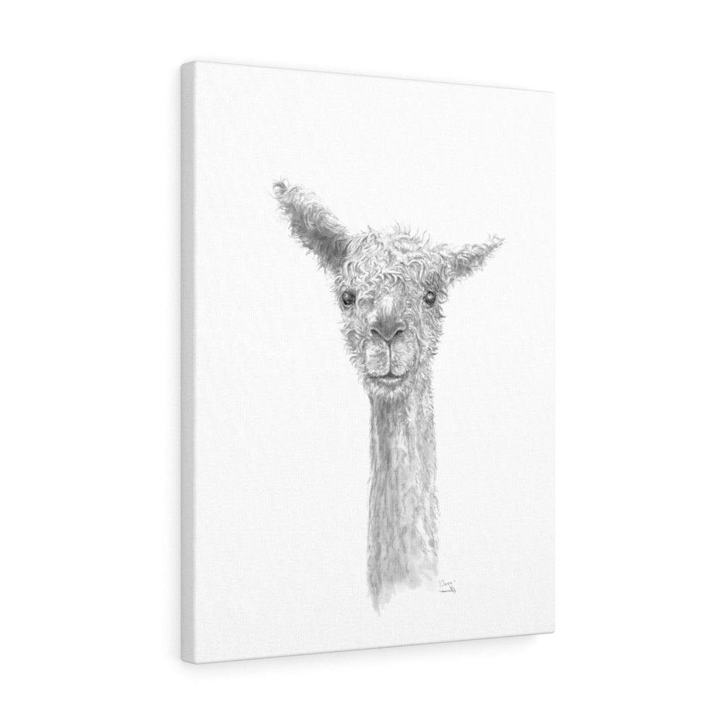OWEN Llama - Art Canvas