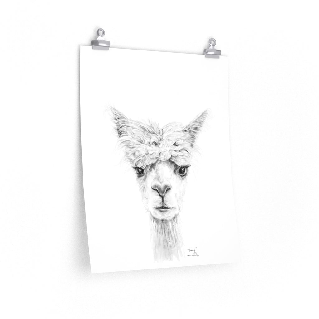 TRACY Llama- Art Paper Print